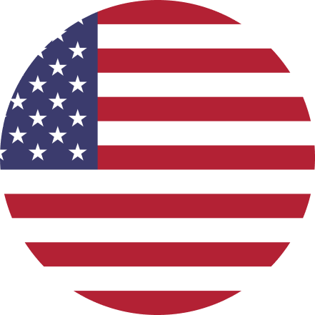 The United States Flag